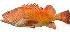 NEW! Yelloweye Rockfish Portions | Alaska Gold Seafood